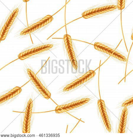 Realistic Illustration Of Seed Plants,organic Farming Farming.seamless Pattern Of Ripe Spikelets Of 