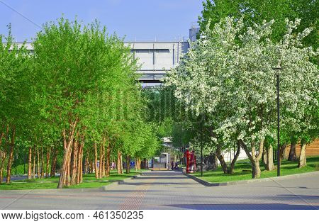 Novosibirsk, Siberia, Russia, 05.18.2022. Mikhailovskaya Embankment Of The Ob River. Spring Blooming