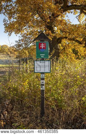 Gavurky, Dobra Niva, Slovakia - October, 24, 2021 : Gavurky Pannonian Grove. An Old Oak Grove. The S