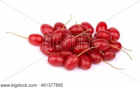 Elaeagnus Multiflora Isolated On White Background. Cherry Elaeagnus, Cherry Silverberry, Goumi Or Gu