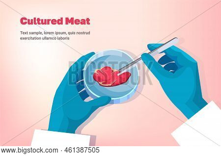 Scientist Holding Cultured Red Raw Meat Made From Animal Cells Artificial Lab Grown Meat Production 