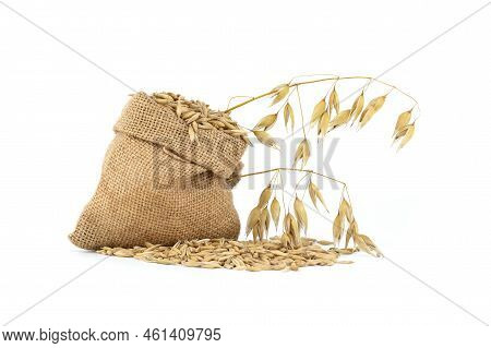 Oat Grains With Hulls Or Husks In Burlap Bag Isolated On A White Background. Agriculture, Diet And N