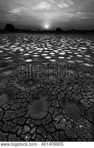 Dried Fish Pond In Hong Kong In Monochrome