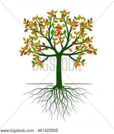 Autumn Tree With Leaves Nd Roots.. Vector Outline Illustration. Plant In Garden.