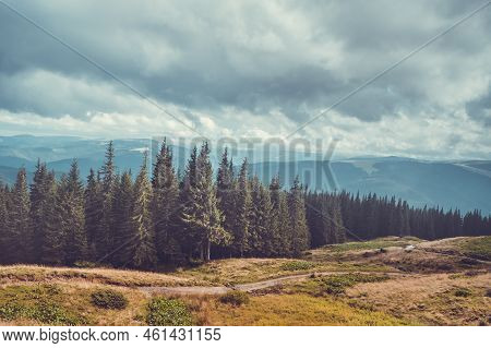 Dramatic Highland Forest Ladscape. Trekking Tourist Trail Along Pine Tees, Cloudy Sky And Mountain R