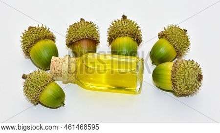 Photos Of Acorns And Acorn Oil On A White Background.