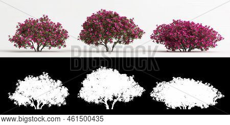 3d Illustration Of Set Rhododendron Pulchrum Pink Flower Isolated On White And Its Mask