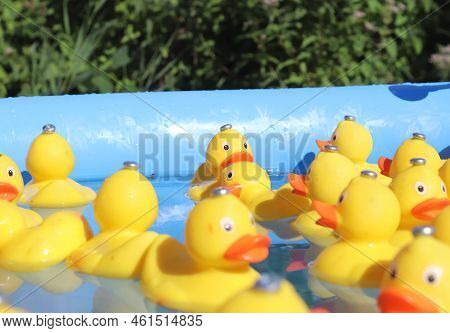 Selective Focus. Many Yellow Rubber Ducks Swimming In Circles In A Pool.
