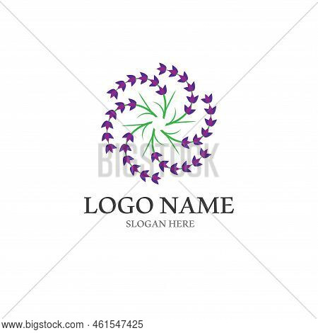 Fresh Lavender Flower Logo Vector