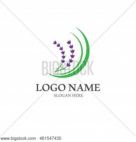 Fresh Lavender Flower Logo Vector