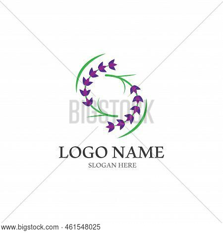 Fresh Lavender Flower Logo Vector