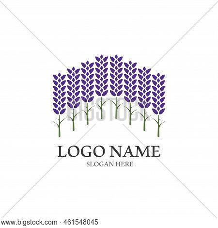 Fresh Lavender Flower Logo Vector