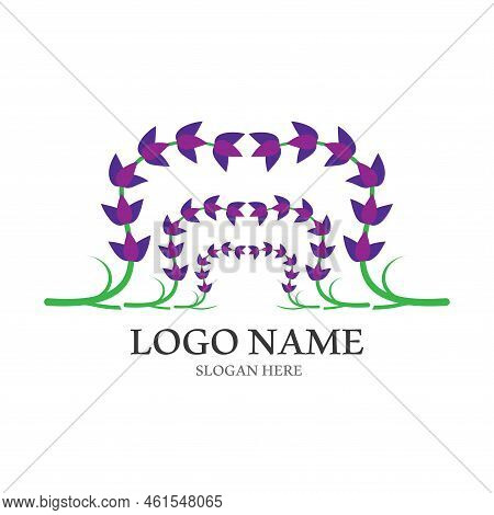 Fresh Lavender Flower Logo Vector