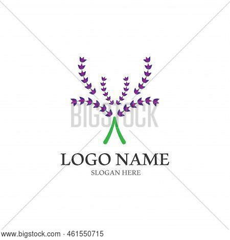 Fresh Lavender Flower Logo Vector