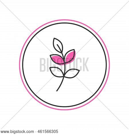 Filled Outline Willow Leaf Icon Isolated On White Background. Vector