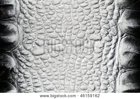 Texture de peau de crocodile-noir