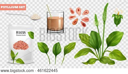 Realistic Psyllium Icons Set With Superfood Flour Bag On Transparetn Background Isolated Vector Illu