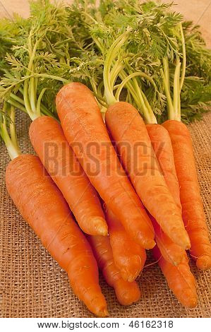 Monte delicioso de cenouras frescas e crocantes