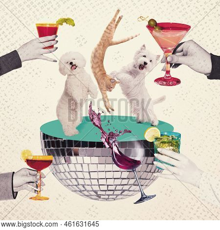 Two White Purebred Dogs Dancing At Half Of Disco Ball, Having Fun At The Party. Leisure Time Activit