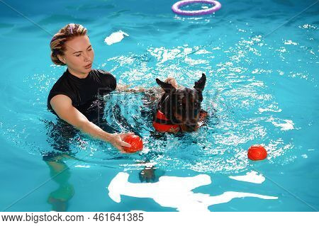 Dog In Life Jacket Swim In The Swimming Pool With Coach. Pet Rehabilitation. Recovery Training Preve