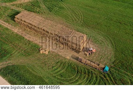 Hay Trailer With Round Bales. Front End Loader Unloading Round Bales. Store Hay At Farm. Hay Rolls A