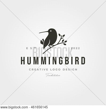 Hummingbird Logo Vector Icon Symbol Illustration Design, Little Bird Silhouette Logo Design