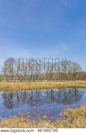 Little Pond Reflecting Trees In The Nature Reserve Wildemerk, Netherlands