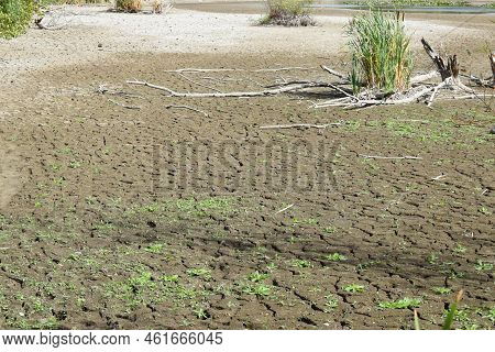 Dry Lake With Some Dead Wood On The Cracked Ground