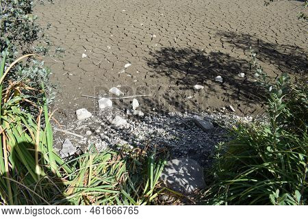 Dry Lake With Some Dead Wood On The Cracked Ground