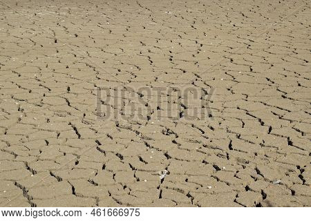 Swamp Lake Of A Nature Reserve During Summer Drought Without Water And Cracked Ground