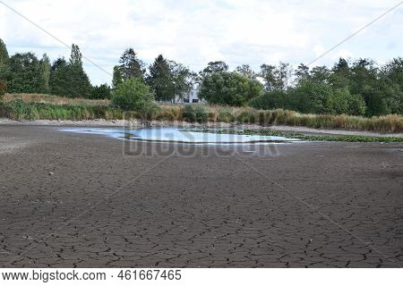 Dry Swamp Lake With A Tiny Waterhole