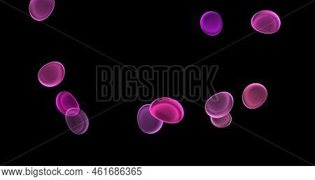 Blood Cells, Erythrocytes, Red Blood Cells, Microbes And Microorganisms, Medicine And Biology, Blood