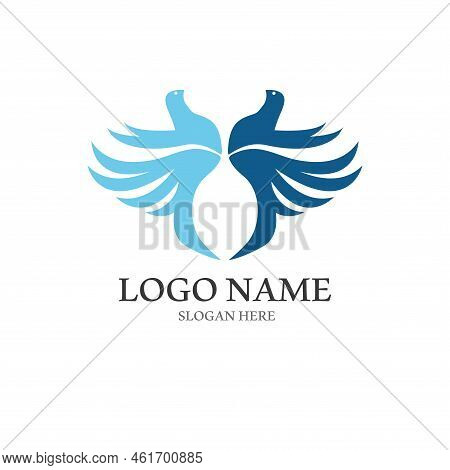Dove Bird Logo Vector Design