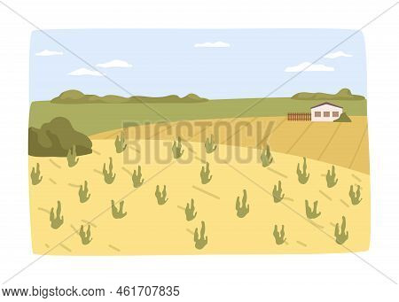 Agriculture Business, Farming And Tending For Crops. Harvesting Season In Rural Area Or Village, Cou