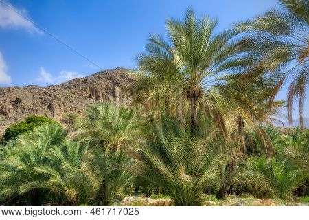 The Wadi , One Of The Most Famous As Well As Beautifull Wadi (valleys) In The Arab Sultanate Oman