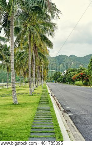 Tropical Vertical Landscape With Road And Palms In Vietnam In An Vien Village