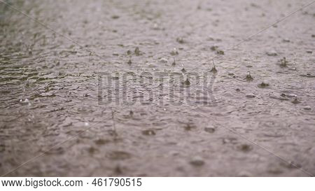 Close-up, Large, Heavy Drops Of Rain, Rainfall, Shower, Fall With Water Splashes, Bubbles, On The We