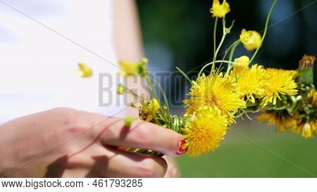 Summer, Close Up, Female Hands With Bright Red Manicure. Woman Weaves A Wreath Of Yellow Dandelions,
