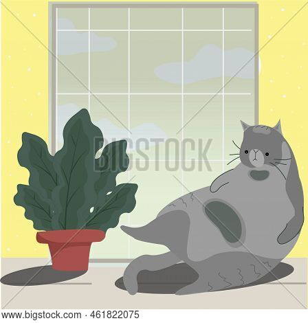 Cat Lying On Windosill. Wooden Frame Of Neighbor Window