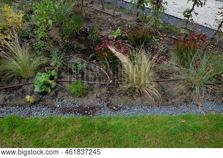 Water Irrigation System With Pipelines With Orvors. Drops Determine The Dose Of Water Directly To Th