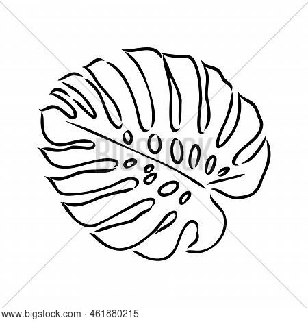 Exotic Monstera. Continuous One-line Drawing. Handmade Summer Tropical Leaf On White Background. Min