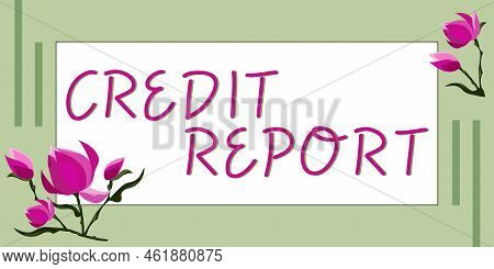 Conceptual Display Credit Report. Word Written On Borrowing Rap Sheet Bill And Dues Payment Score De