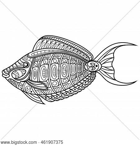 Hand Drawn Of Orangespine Unicornfish In Zentangle Style