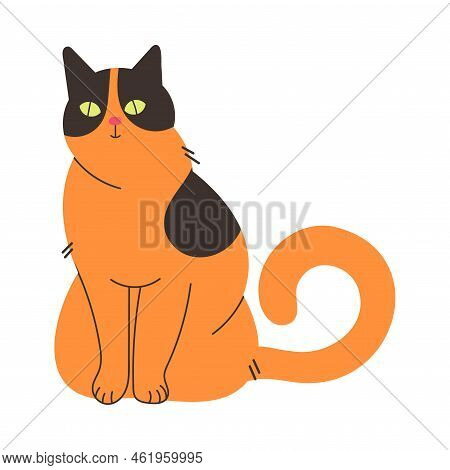 Fluffy Cat With Ginger Spotted Coat And Curved Tail Sitting Vector Illustration