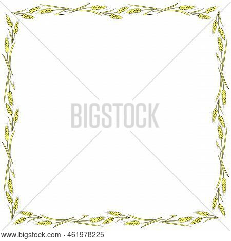 Square Frame Made Of Golden Wheat Or Rye Ears. Vector Autumn Border, Backdrop Hand Drawn In Doodle F