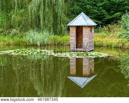 Lake Pond With Water Lillies