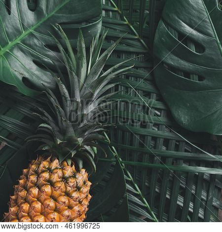 Fresh Pineapple On Tropical Leaves Background.