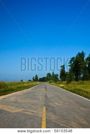 Asphalted Road