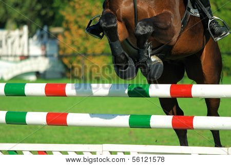 Horsejumping