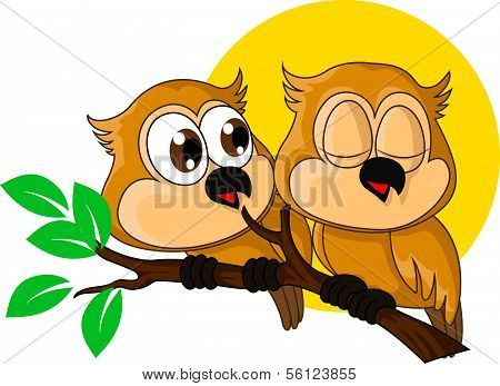 Sweet Owls Cartoon